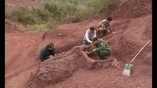 180 mlnyearold dinosaur fossils discovered in SW China [upl. by Domenic]