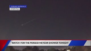 Perseid Meteor shower one of best displays of shooting stars all year [upl. by Somar]