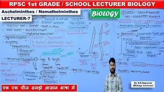 Aschelminthes  PART7 RPSC 1st GRADE BIOLOGY  Nemathelminthes  Wuchereria  Ascaris skdigrawal [upl. by Brelje]