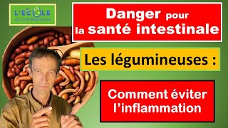 Digestion difficile et problème aux Intestins  pourquoi et comment TOUJOURS cuire les légumineuses [upl. by Hutner]