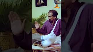 ഇത് തകഴിടെ ചെമ്മീൻ അല്ലെ  Mamukkoya Comedy Scene  Pavakkoothu Malayalam Movie  Jayaram  Innocent [upl. by Nager]