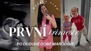 Shrnutí 1 trimestru křečové žíly amp odlišnosti 3 těhotenství  VLOG [upl. by Teews35]