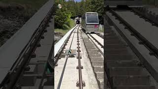 Swiss Funicular Railway Mürren–Allmendhubel shorts trains switzerland [upl. by Kiehl]