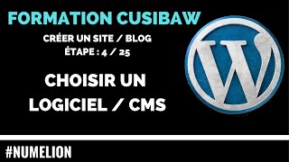 Quel logiciel CMS choisir pour créer un site internet  blog Formation 425 [upl. by Laohcin]