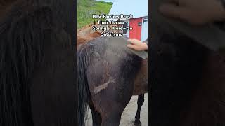 How Farriers Brush Their Horses  Spring is Here  So Satisfying foryou horse farrier asmr [upl. by Halle]