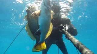 chasse sous marine les Corbs de Méditerranée  Cressi Sub [upl. by Sandi]