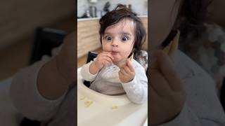 7 months old croissant lover🥐 [upl. by Megdal]