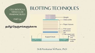 Blotting techniques  CBMP34Tamil [upl. by Lilllie305]