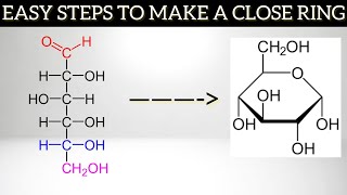 Closed Ring Structure of CARBOHYDRATE with Mechanism [upl. by Teerprah726]