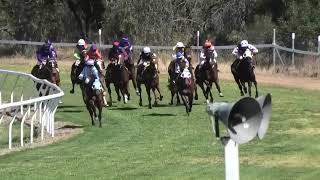 Goondiwindi 09092023 Race 1 [upl. by Lattie]