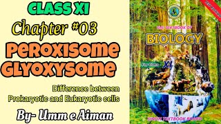 Peroxisome and Glyoxysome Cell Organelles Chap03 Sindh board By Umm e Aiman [upl. by Asilat]