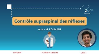 UI5  Contrôle supraspinal des réflexes médullaires [upl. by Aubert]