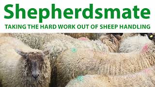 Shepherdsmate Sheep Handler  Spring Loaded Shearing Flap [upl. by Krishna42]