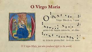 O Virgo Maria  O Virgin Mary  Marian Antiphon [upl. by Grizelda126]