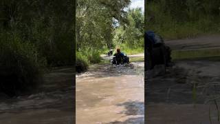 Sportsman 1000 getting it done polaris peacerivercampground waterwheelie [upl. by Anirpas]