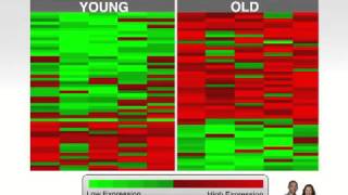 The science behind ageLOC and TR90 [upl. by Johnna]