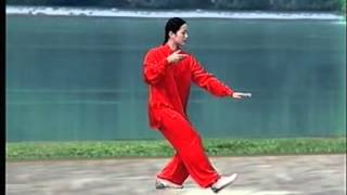 WuStyle Tai Chi 13 Form [upl. by Artie]