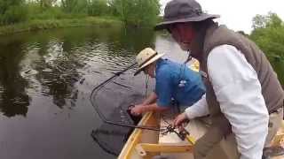 Flambeau River Wisconsin  Fly Fishing Musky  Hayward Fly Fishing Company  Muskie Guides [upl. by Ydnamron]