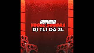 MONTAGEM VOCAL SONORA  DJ TLS DA ZL [upl. by Bartolemo702]