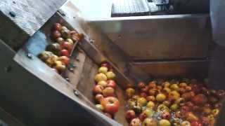 2013 Cider Production [upl. by Dragelin935]