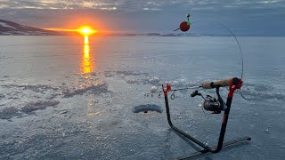 Isfiske på Mjøsa med gode venner [upl. by Yrral71]