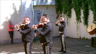 Fête LatinoMexicaine à Barcelonnette France [upl. by Gwennie154]