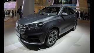 BORGWARD BX7 TS LIMITED EDITION  SUV MATTE COLOUR  WALKAROUND  INTERIOR [upl. by Steven]