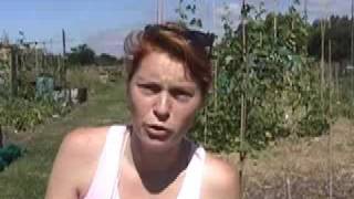 It must be summer  Claires Allotment part 55 [upl. by Dustman]