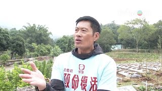 致命復活  黃德斌再做越南人 今次係好人定壞人 TVB [upl. by Lipcombe]