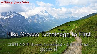 그린델발트Grindelwald Hike Grosse Scheidegg to First [upl. by Atinaw968]