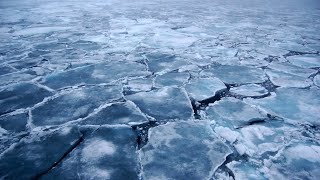 Sea Ice Projections [upl. by Anaicilef]