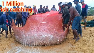 woow  😱😱 million 5k of catching fish  Unbelievable fishing video fishnegombo [upl. by Llertram843]