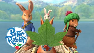 Peter Rabbit  Meeting all the Rabbits and Friends  Cartoons for Kids [upl. by Yriek]