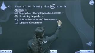 Which of the following does not occur in AnaphaseampndashI [upl. by Nakashima]