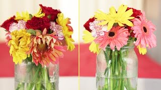 How To Make Your Flower Arrangements Last Longer [upl. by Stephana528]