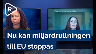 Finska politiker gör allt för att stoppa miljardrullningen till EU [upl. by Anujra]