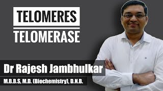 Telomeres and Telomerase [upl. by Worthy]