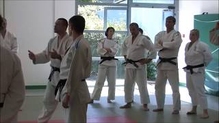 Arbitrage 2013 Judo Bretagne Côtes dArmor [upl. by Sherar]