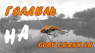 Savage Gear GOBY Crank 40SR [upl. by Birdie]