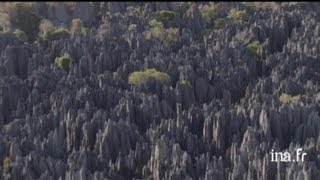 Madagascar  réserve naturelle du Tsingy de Bemaraha [upl. by Auqinot]