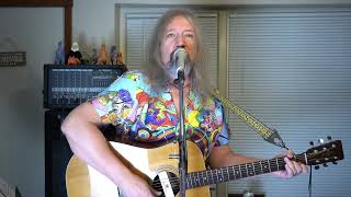 Promises Eric Clapton COVER  Acoustic Guitar and Vocals [upl. by Krusche]