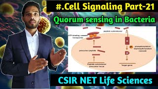 Quorum sensing in Bacteria part2  Cell Signaling part21  CSIR NET Life Sciences [upl. by Hetti]