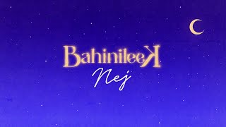 Nej  Bahinileek Lyrics Video [upl. by Rawdon]