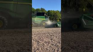 Soybean harvest agriculture farming harvest farm soybean combine [upl. by Julide319]