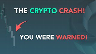 THE CRYPTO CRASH YOU WERE WARNED [upl. by Akessej853]