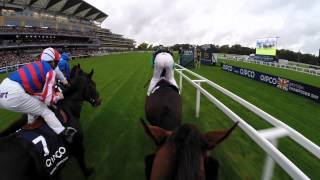 British Champions Day Jockey Camera [upl. by Clawson]