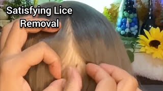 ASMR 🌻 Most Satisfying Lice Removal and Scalp CheckScratching lice pick parting  No Talking😴😪 [upl. by Enilegna944]