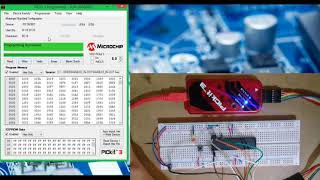 Uso del PICkit 3 para programar el PIC16F887 [upl. by Ramas266]