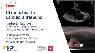 IMV imaging cardiac ultrasound video 1  Introduction to performing an echo [upl. by Nnaylloh]