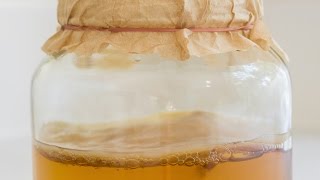 Make Your Own Kombucha [upl. by Rieger950]